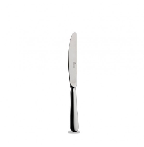 Hollands Glad Steak Knife Monobloc