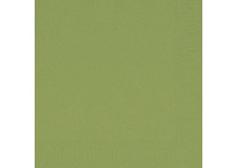 Duni Tissue Napkins 2ply Leaf Green