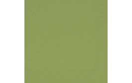 Duni Tissue Napkins 2ply Leaf Green