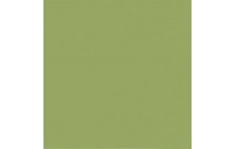 Bio Dunisoft Napkins Leaf Green