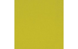 Duni Tissue Napkins 2ply Kiwi
