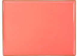 Seasons Coral Rectangular Platter