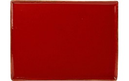 Seasons Magma Rectangular Platter