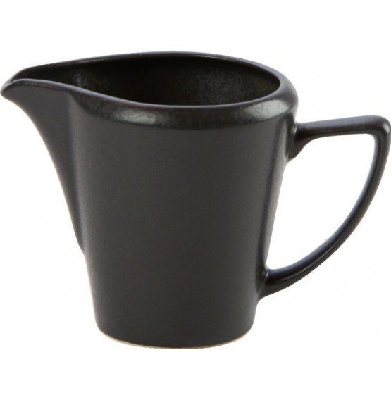 Seasons Graphite Conic Jug