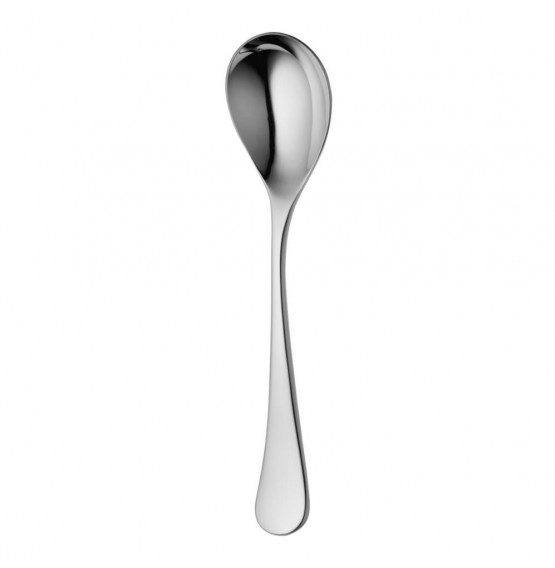 Ashbury Bright Serving Spoon