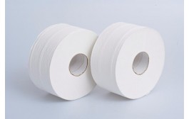 Mini Jumbo Toilet Roll 2ply 200m