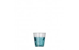 Clear Plastic Shot Glass