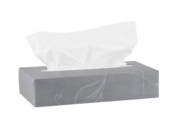 Katrin Plus Facial Tissues 2ply