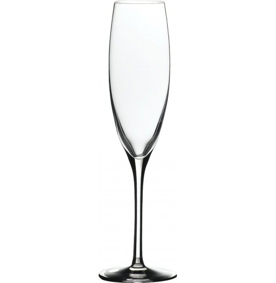 Banquet Champagne Flute