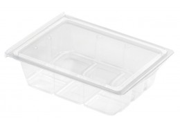 Mini Food Display Salad Box