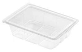 Mini Food Display Salad Box