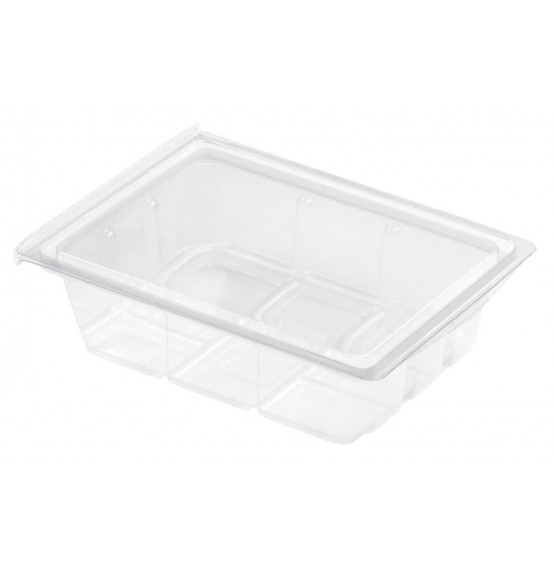 Mini Food Display Salad Box