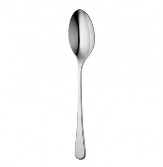 Iona Bright Serving Spoon
