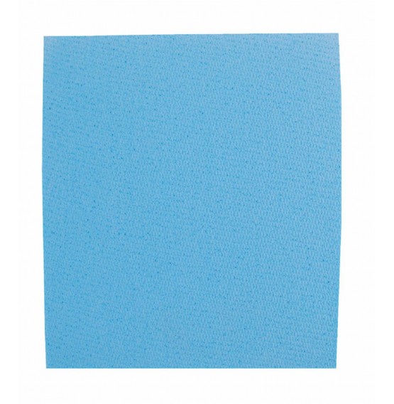 Blue Sponge Cloths