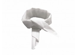 White Neckerchief