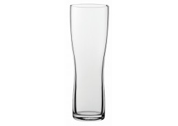 Aspen Beer Glass