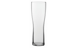 Aspen Beer Glass