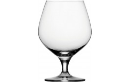 Primeur Cognac Glass