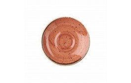 Stonecast Spiced Orange Saucer