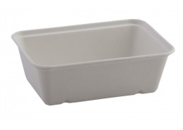 Bagasse Food Tray